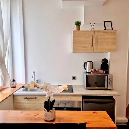 Studio Dedieu Charpennes Villeurbanne Appartement